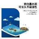 5.webp