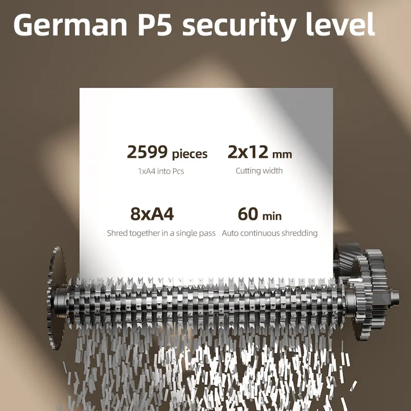 5.webp