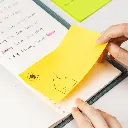 8.webp