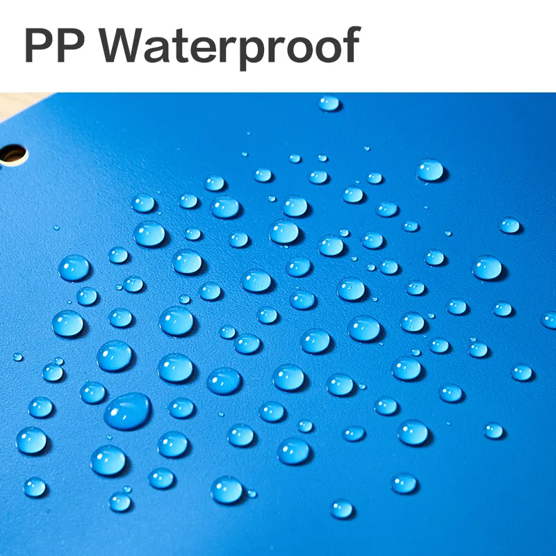 4.webp