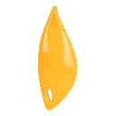 6.webp