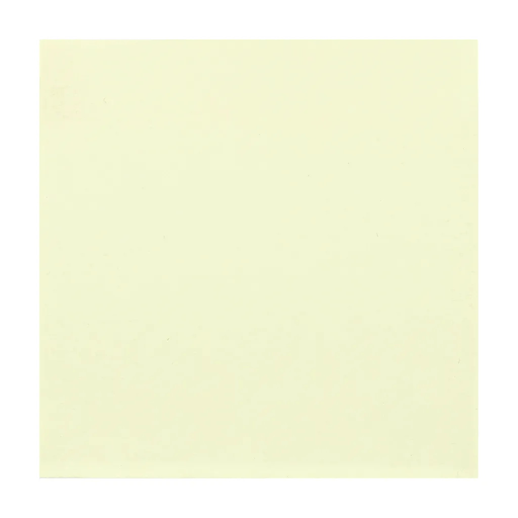 5.webp