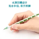 4.webp