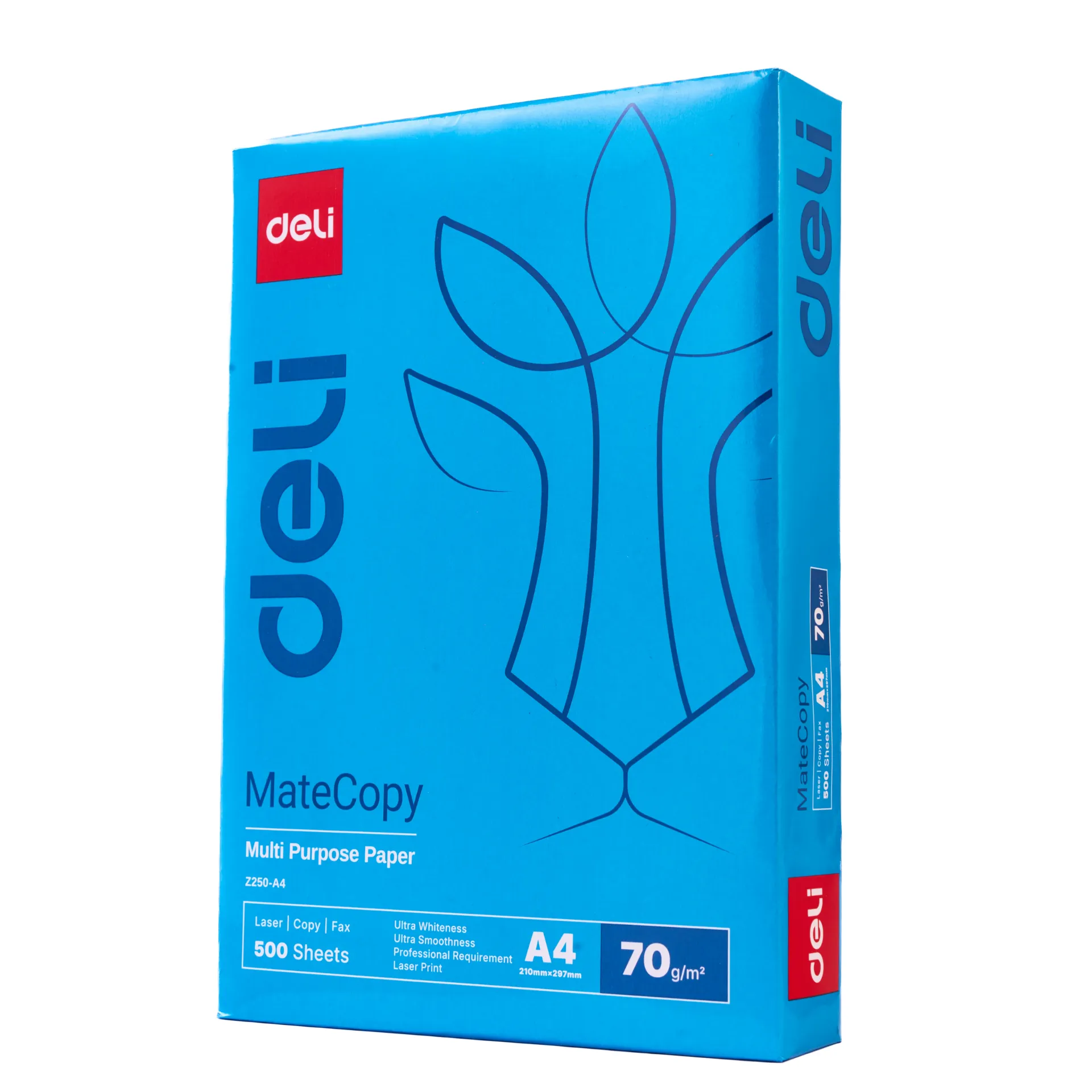Deli - EZ250-A4 Mate Copy Paper A4 (70g) (1Ctn*5Pkt)